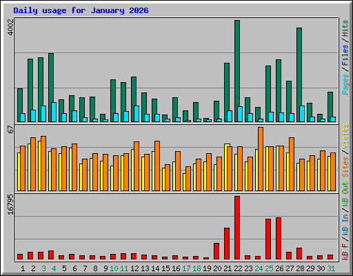 Daily usage for January 2026