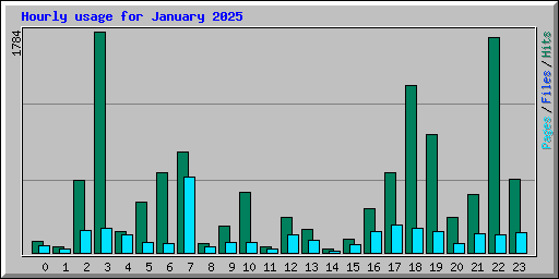 Hourly usage for January 2025