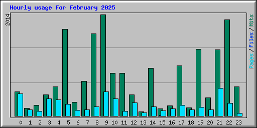 Hourly usage for February 2025