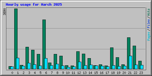 Hourly usage for March 2025