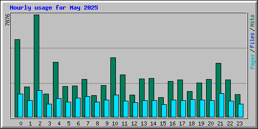 Hourly usage for May 2025