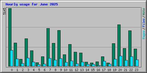 Hourly usage for June 2025