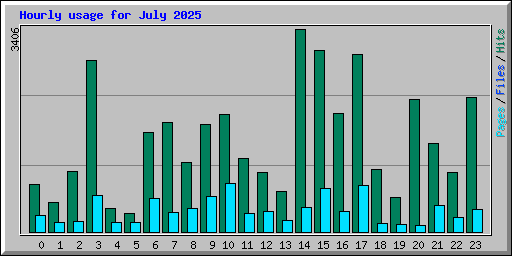 Hourly usage for July 2025