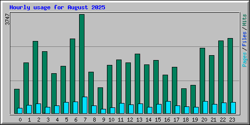 Hourly usage for August 2025