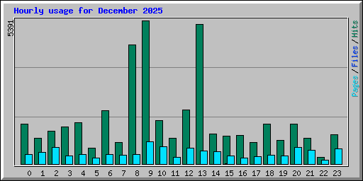Hourly usage for December 2025