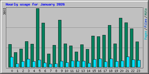 Hourly usage for January 2026