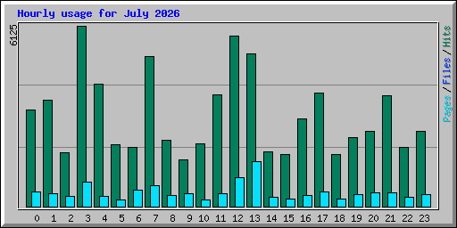 Hourly usage for July 2026
