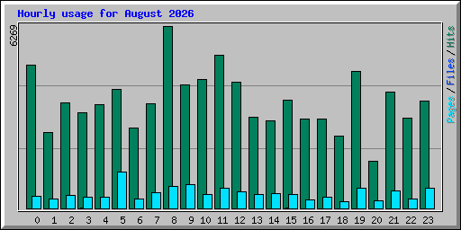 Hourly usage for August 2026